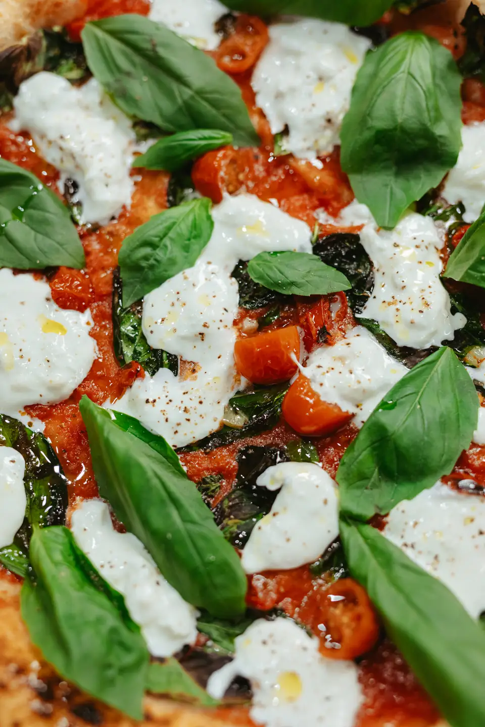 Pizza with burrata, basil and tomatoes fresh from the oven at Publiczna